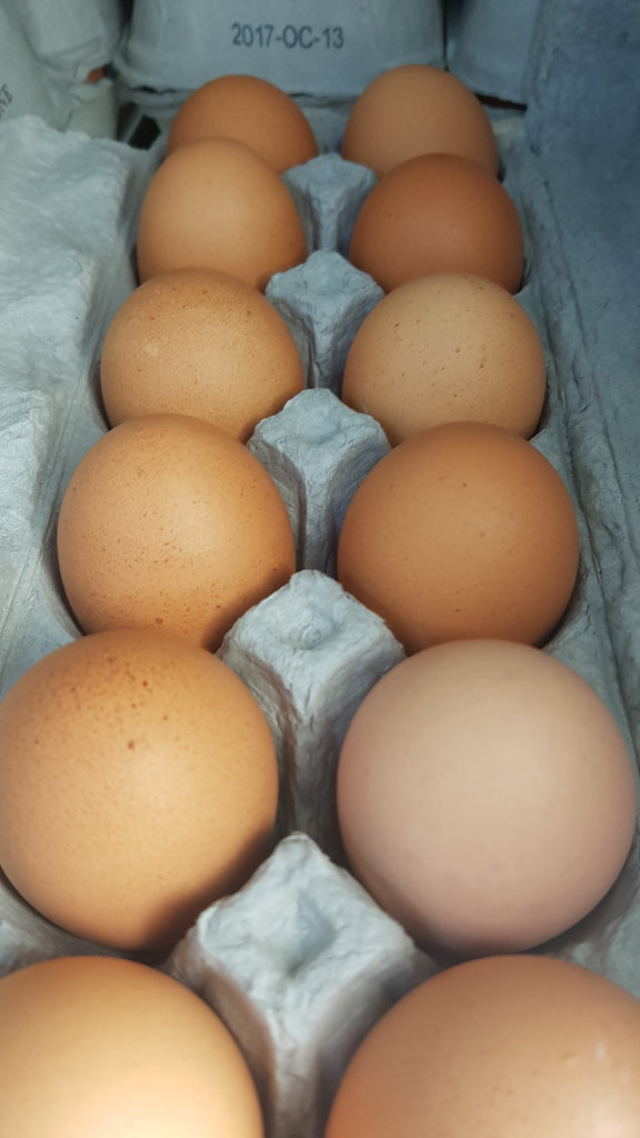 Jumbo Brown Eggs by Britestone Farming